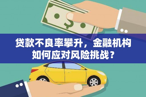 炎陵贷款不良率攀升，金融机构如何应对风险挑战？