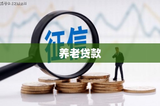 通霄养老贷款