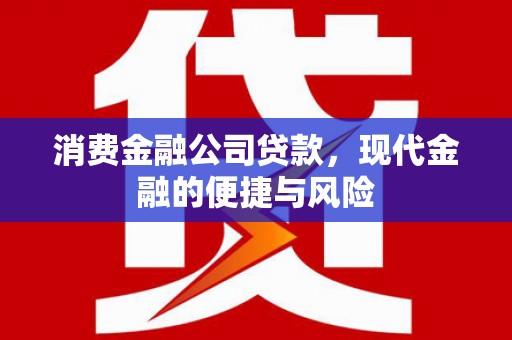 兴城消费金融公司贷款，现代金融的便捷与风险