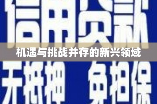 中山机遇与挑战并存的新兴领域