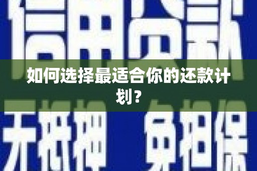 文成如何选择最适合你的还款计划？