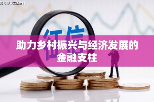 德宏助力乡村振兴与经济发展的金融支柱