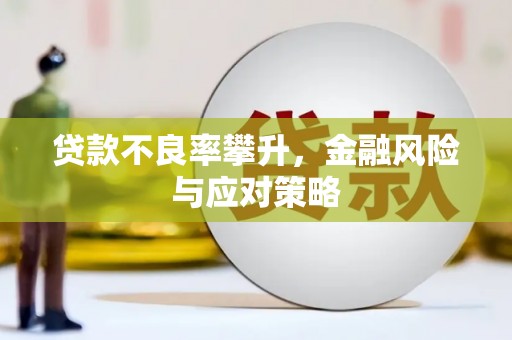 永靖贷款不良率攀升，金融风险与应对策略