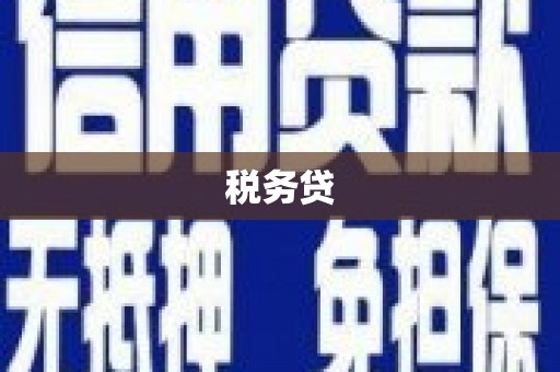 茂县税务贷