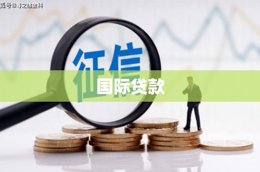 林甸国际贷款